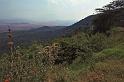 WT 1400 192-25 Kenya